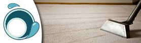Thorough Steam Cleaning Carpet Service! 