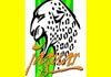 Affordable Building Supplies