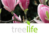 T Jays Tree Care