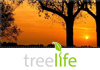 T Jays Tree Care