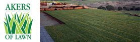 Irrigation - Supply and Install