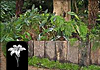 Langlands Landscape Supplies
