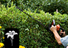 Langlands Landscape Supplies
