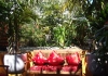 House & Garden Blitz