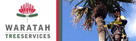Tree Feller & Arborist Services