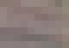 Project Building & Property Services P/L