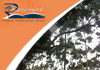 Rosemont Nursery Landscaping and Design