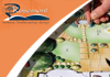 Landscape Architecture/Design & Construction