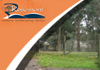 Rosemont Nursery Landscaping and Design