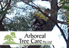 Arboreal Treecare & Rockingham Kwinana Tree Service