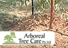 Arboreal Treecare & Rockingham Kwinana Tree Service