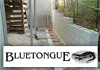 Bluetongue Constructions
