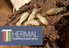 Thermal Building Inspections