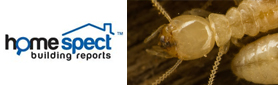 HomeSpect Building Reports - Pest Inspections