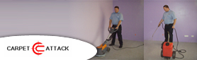 Do Your Carpets Need a Professional Clean? Contact Us for a FREE Quote