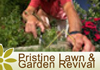 Pristine Lawn Garden Revival