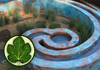 Arcadia Sustainable Design