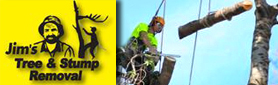 Stump Removal Services
