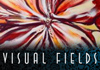 Visual Fields