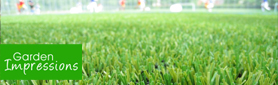Garden Impressions - Lawn and Turf