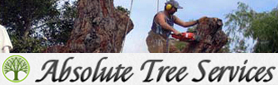 Absolute Tree Services