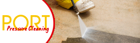 Port Pressure Cleaning