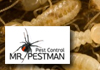 Mr Pest Man
