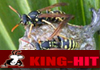 King-Hit