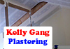 Looking For A Professional Plastering Service?