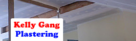 Looking For A Professional Plastering Service?