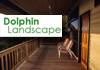 Dolphin Landscape