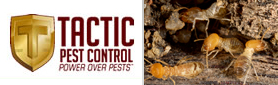 Pest Services With 12 Month Warranty.Gone-Guaranteed! Promise. 100%...