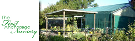 The First Anchorage Nursery