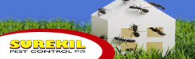 Termite & Pest Control Services - Your Satisfaction Is Our Business
