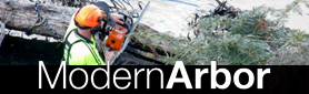 Modern Arbor - Tree Services