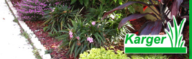 Landscape Construction