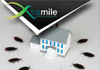 Are Pests Invading Your Home?