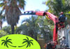 Palms to the Ground