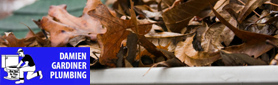 Damien Gardiner Plumbing - Guttering & Roofing