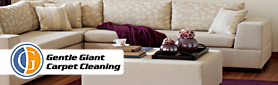 Upholstery Cleaning
