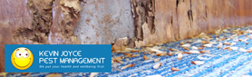 General Pest Inspections to Pre-Purchase Property Pest Inspections 