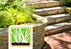 Retaining Walls & Paving Services