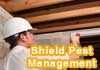 Shield Pest Management
