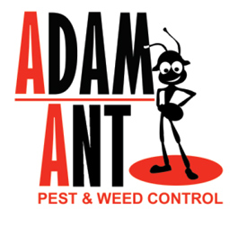 Adam Ant Pest & Weed Control