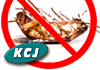 KCJ Enterprises