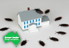 Down Under Building and Pest Inspections