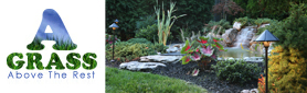 How Green Does Your Garden Grow?