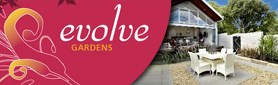 Garden Design, Installation & Maintenance for Urban Gardens