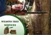 Wilsons Tree Service (NSW) Pty Ltd