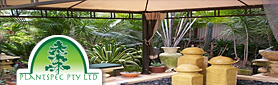 Plantspec Pty Ltd - Decks & Pergolas